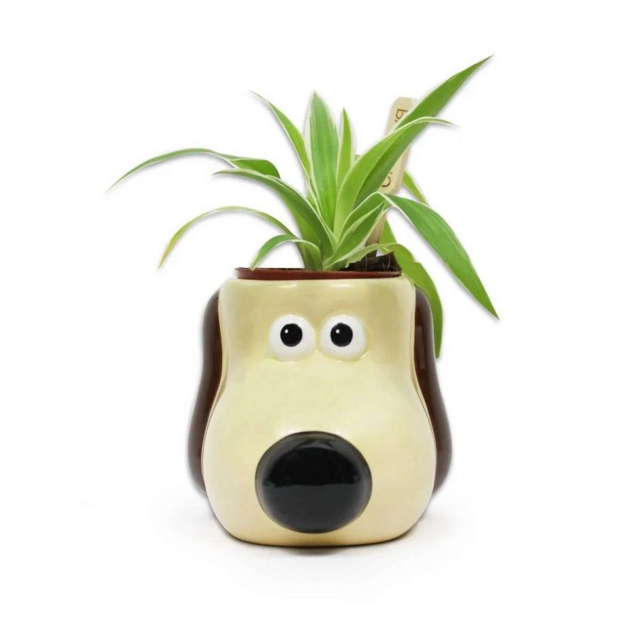 Home And Office * | Wallace And Gromit: Gromit Plant Pot Discounts