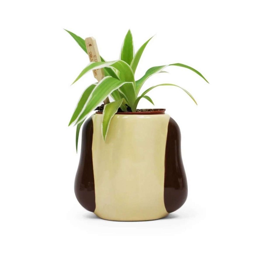 Home And Office * | Wallace And Gromit: Gromit Plant Pot Discounts